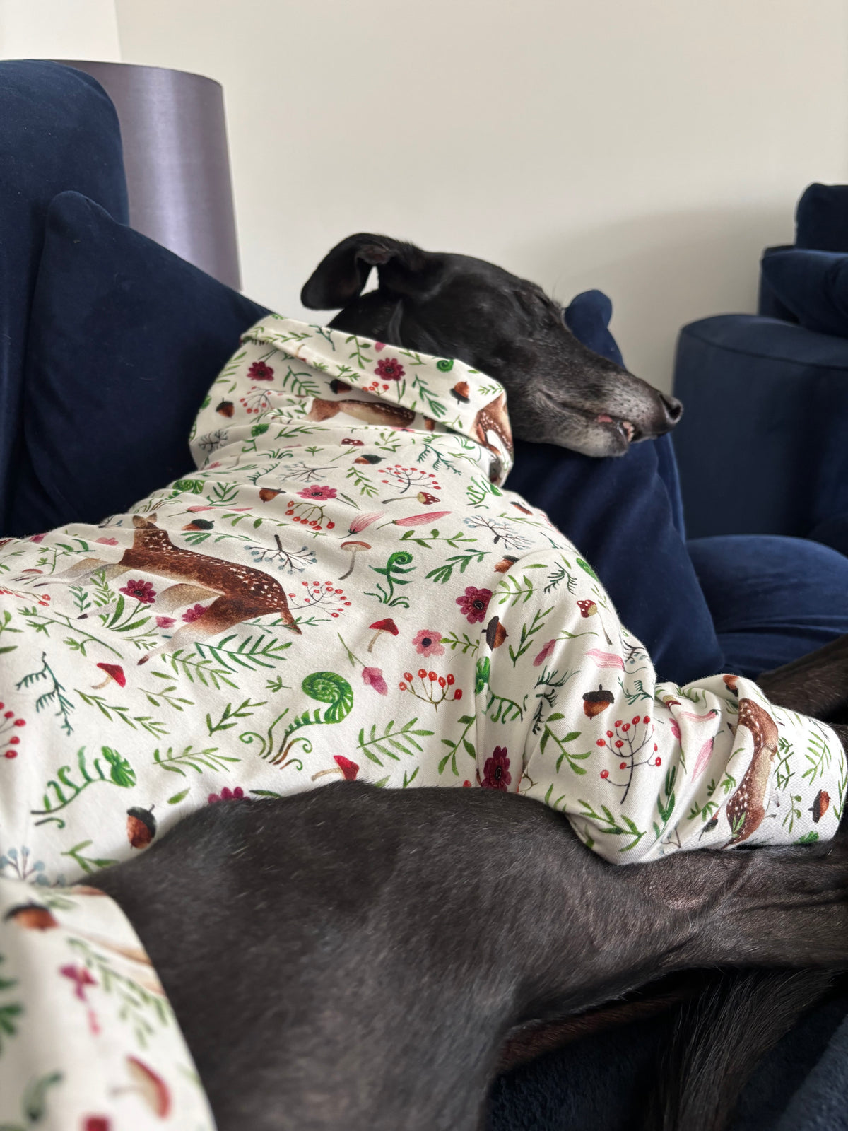 A greyhound lying on a blue couch, wearing woodland deer long sleeve greyhound pajamas with a woodland print of deer, acorns, leaves, and berries on an off-white background.